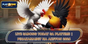 Live Sabong Today sa PLAYTIME | Pinakamainit na Aksyon 2026
