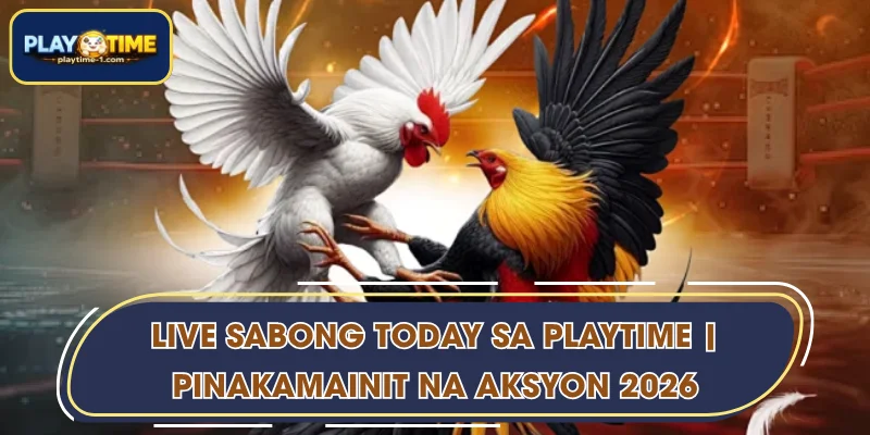 Live Sabong Today sa PLAYTIME | Pinakamainit na Aksyon 2026