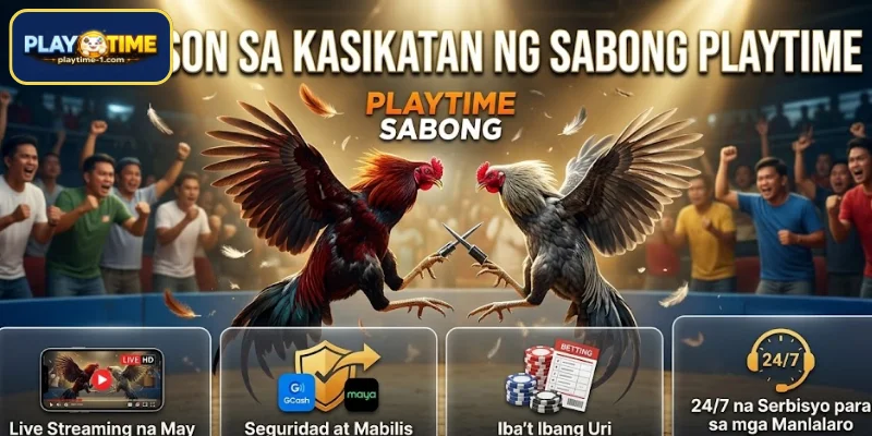 Mga Rason sa Kasikatan ng Sabong PLAYTIME